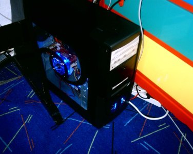 S1010099 (Large).JPG