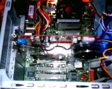 S1010110 (Large).JPG