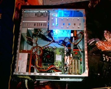 S1010111 (Large).JPG