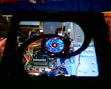 S1010113 (Large).JPG