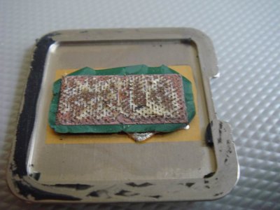 aDSC00321.jpg