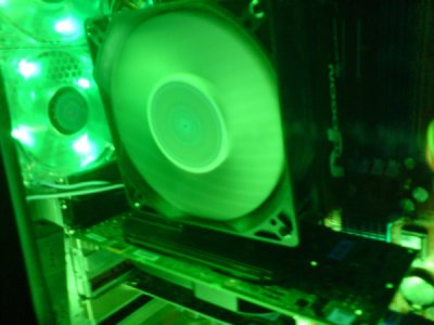 Inside, GREEN!.jpg