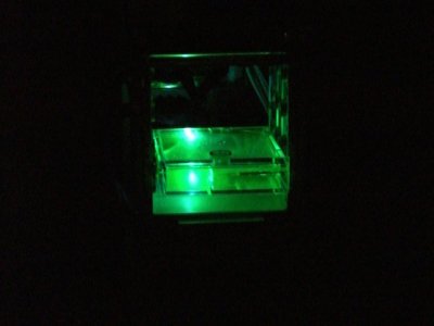 CIMG0301.JPG