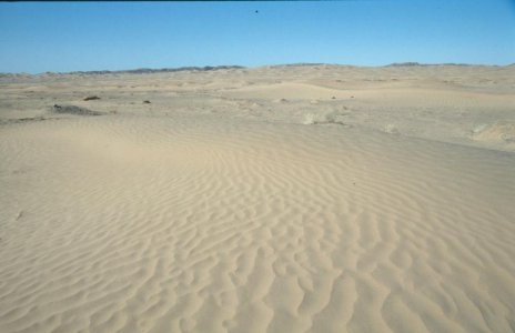 PK_Nishki_2004_02_28_Sand_-_Sand_-_Sand___.jpg