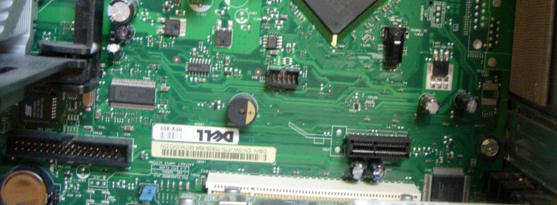 cropped1.JPG