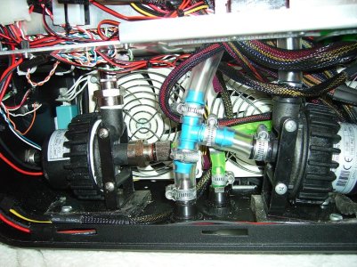 both pumps.jpg