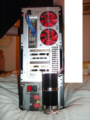 rear.jpg