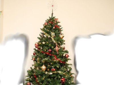crimbotree.jpg
