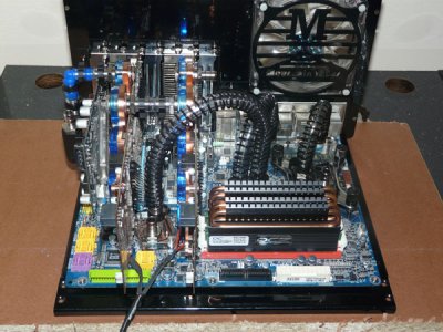 b5.jpg