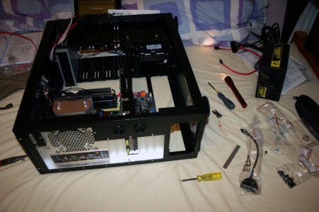 Mid Build Agony.jpg