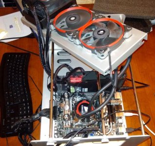 Its Alive!...........................jpg