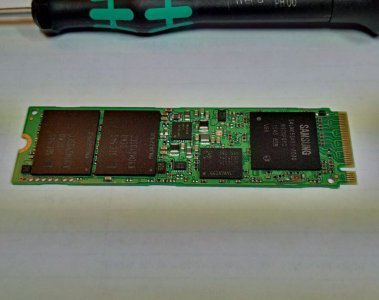 PM951.JPG