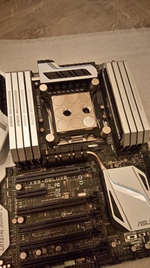 ocx2.jpg