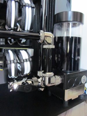 p6.jpg