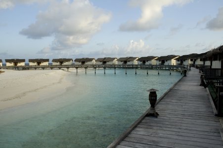 hols03.jpg