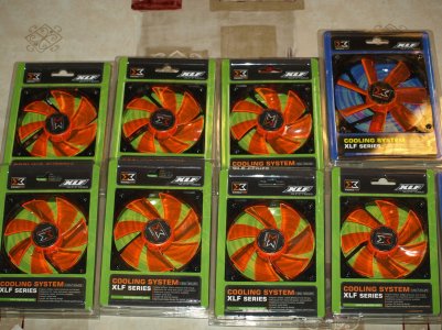 pc ting 9.jpg