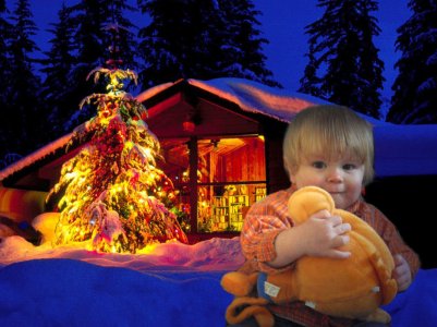 DSC00037_xmas.jpg