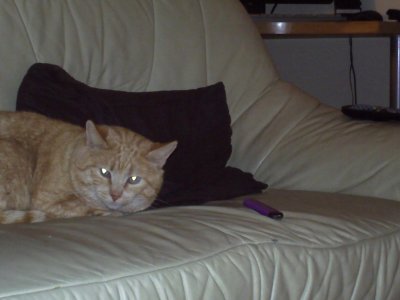 PICT0015.jpg