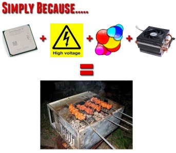 noctua_entry.jpg