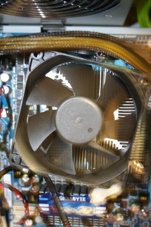 Optimized-IMG_9613.JPG