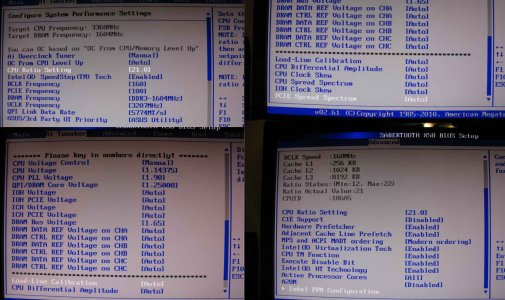 bios.jpg