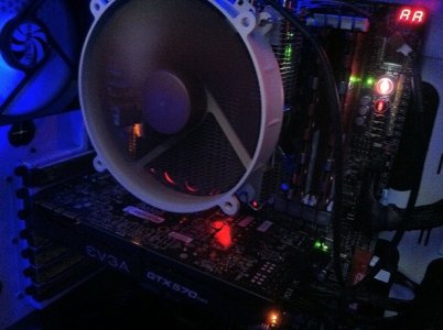 close up.jpg