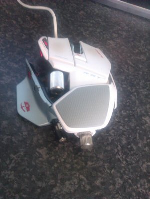 My Albino R.A.T.jpg