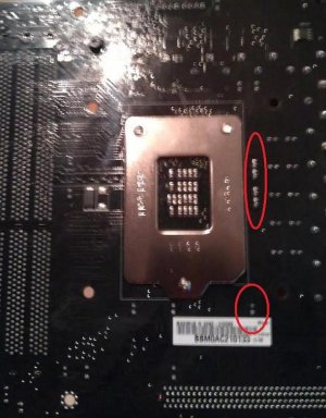 back side pins.jpg
