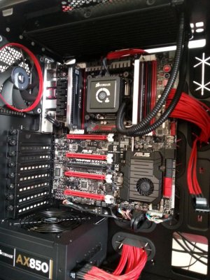 insidecase.jpg