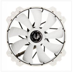white front fan.jpg