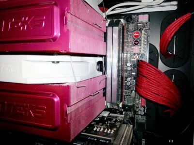Phantek on Ram.jpg