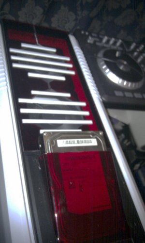IMAG0185.jpg
