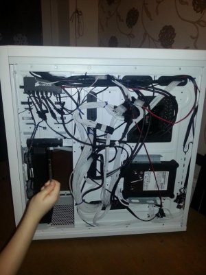 back cables.jpg