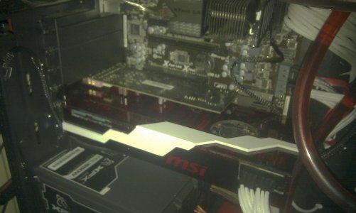 IMAG0227.jpg