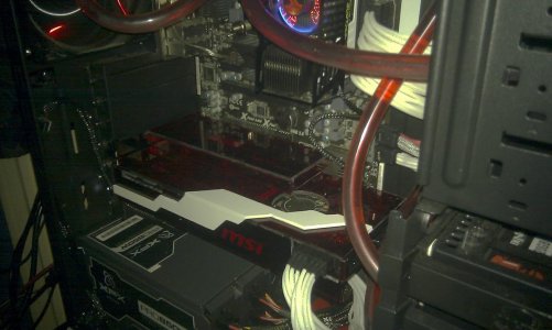 IMAG0229.jpg
