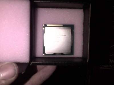 IMG-20130116-00259.jpg