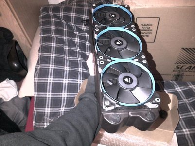 IMG-20130116-00262.jpg