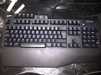 IMG-20130116-00274.jpg
