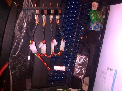 IMG-20130117-00290.jpg