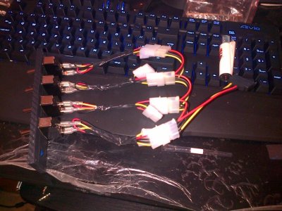 IMG-20130117-00291.jpg