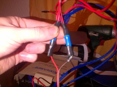 IMG-20130119-00305.jpg