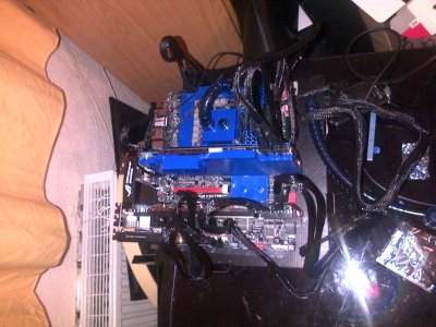 IMG-20130225-00443.jpg