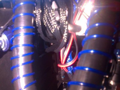 IMG-20130226-00479.jpg