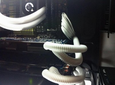 Yeti 12.jpg