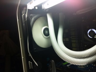 Yeti 14.jpg