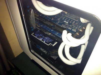 Yeti 16.jpg