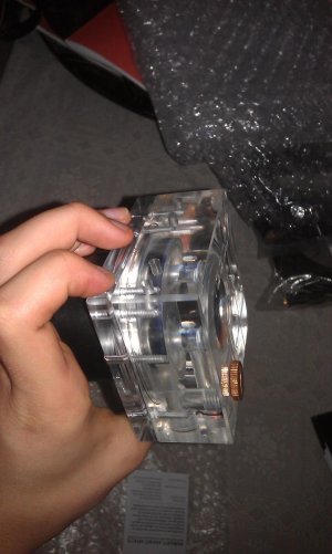 IMAG0526.jpg