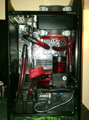 IMG_0647 (Custom).jpg