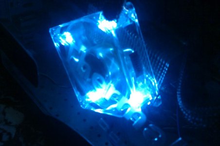 IMAG0417.jpg