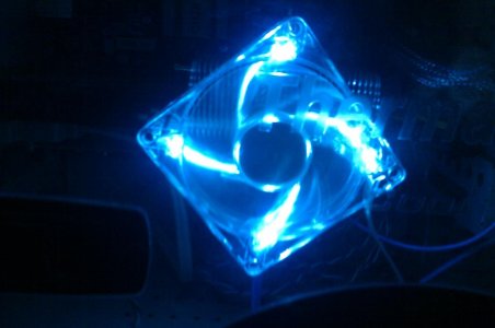 IMAG0416.jpg
